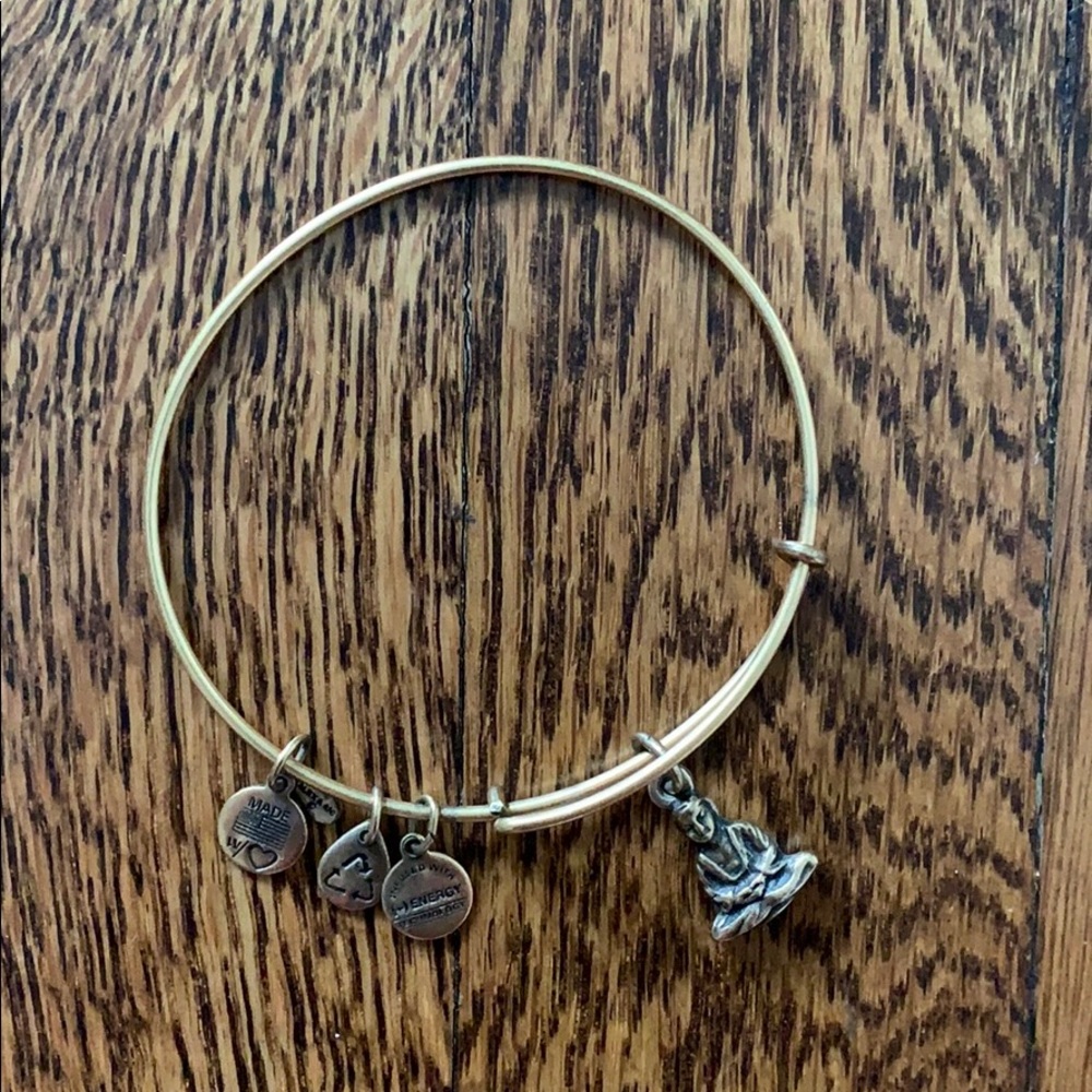 Alex and Ani Charm Bracelet